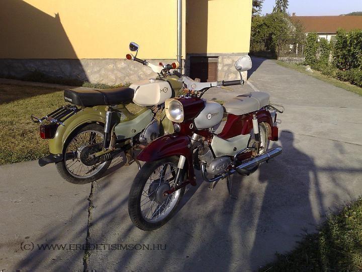 habicht 74.jpg